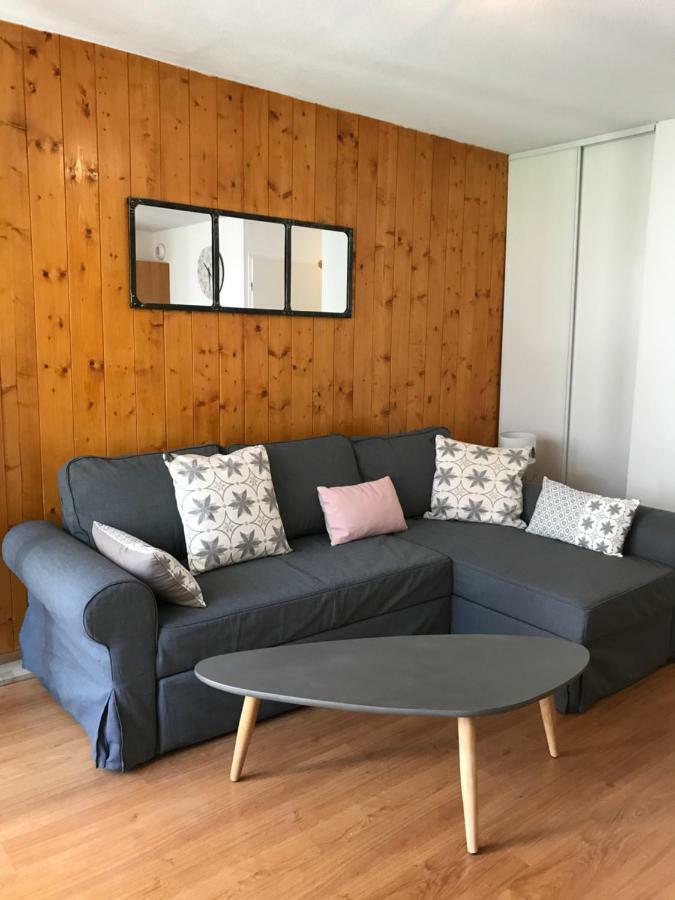 Appartement Tt Confort Au Coeur Des Montagnes Avec Vue Sur Les Montagnes Wifi Luz-Saint-Sauveur Exterior photo